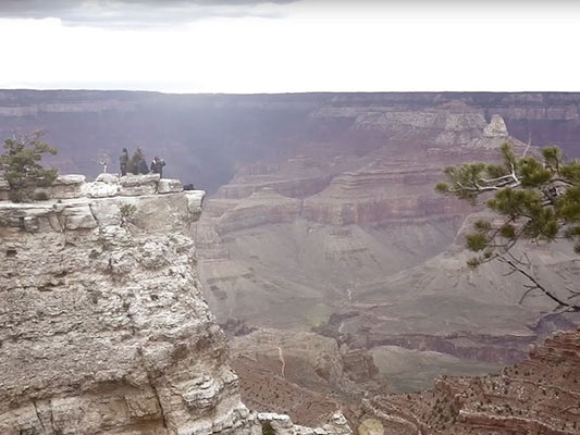 THE IRRATIONAL PURSUIT, THE EXPLORATION OF "THIS"