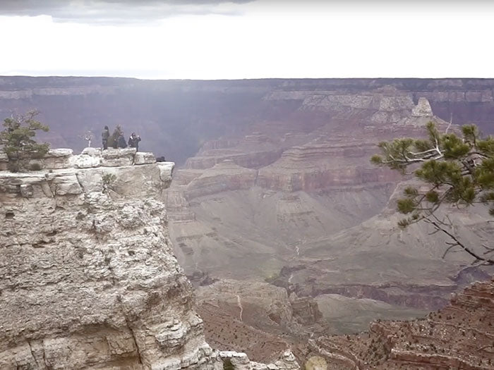 THE IRRATIONAL PURSUIT, THE EXPLORATION OF "THIS"