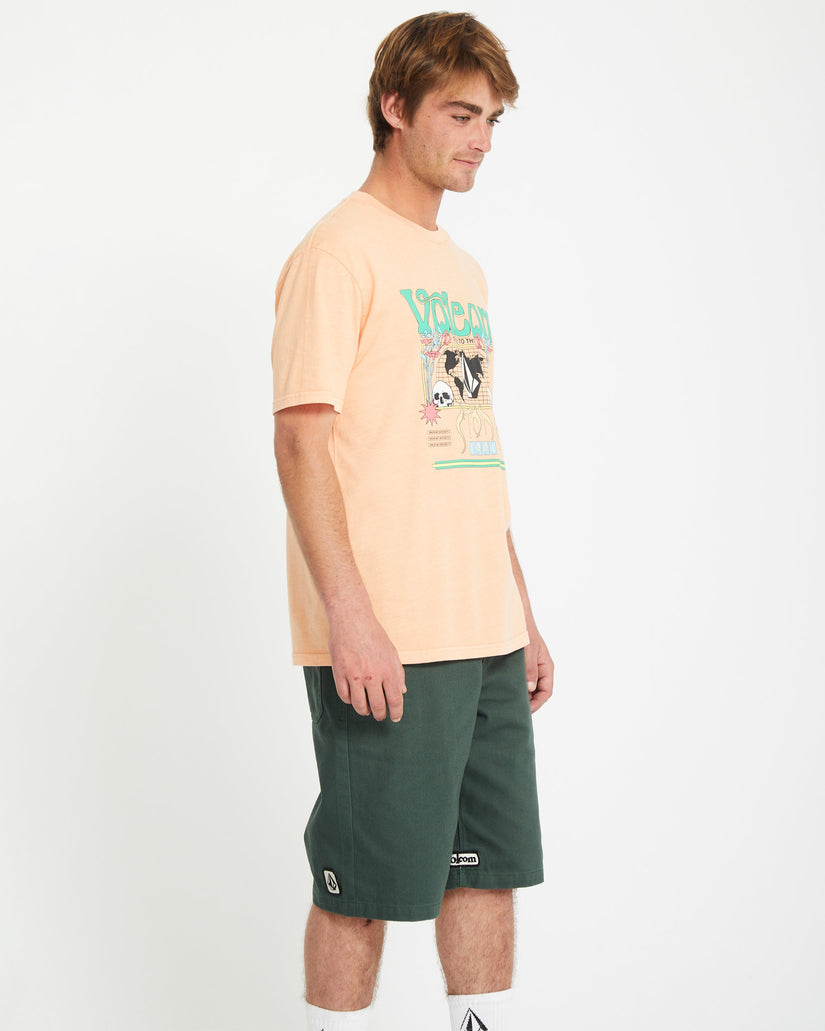 Camiseta Worldly - PALE PEACH