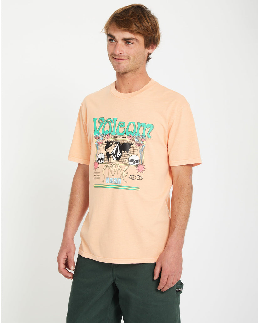 Camiseta Worldly - PALE PEACH