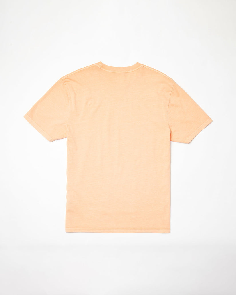 Camiseta Worldly - PALE PEACH