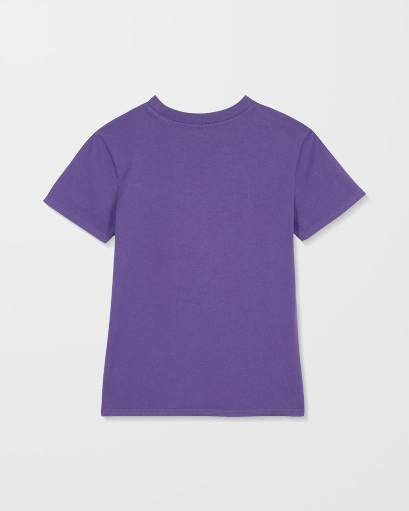 Camiseta Solid Stone Emb - Acai