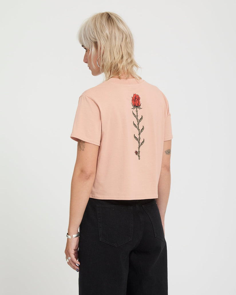 Camiseta Dial Crop - Misty Rose