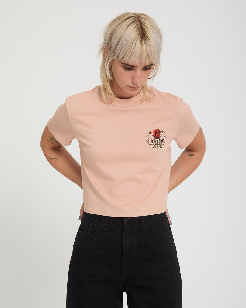 Camiseta Dial Crop - Misty Rose
