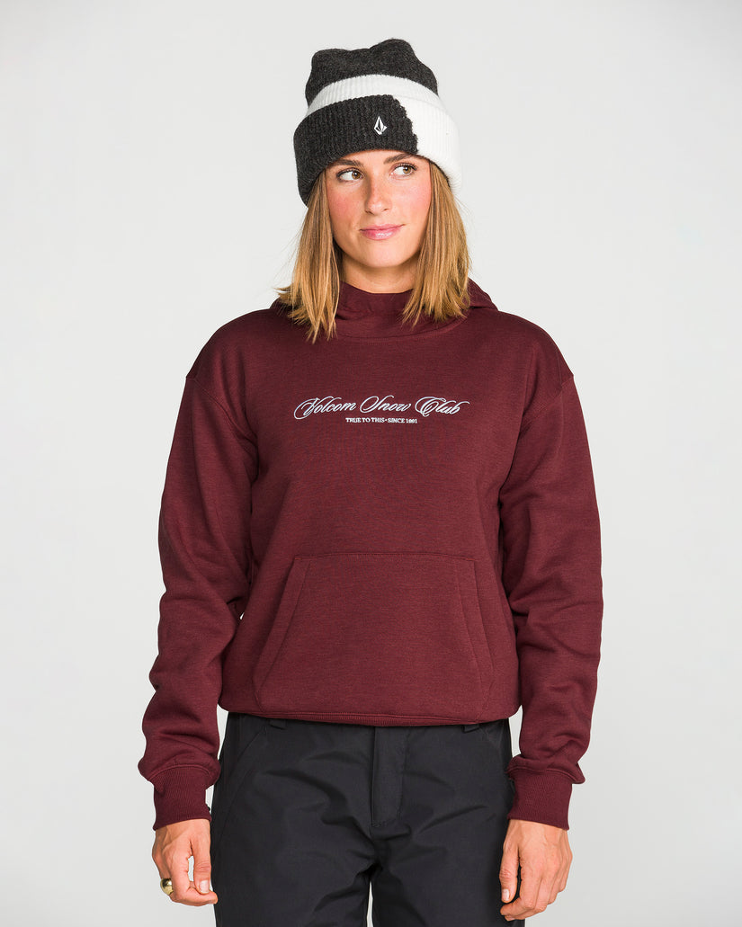 Sudadera con capucha Alpine All Day - Pinot