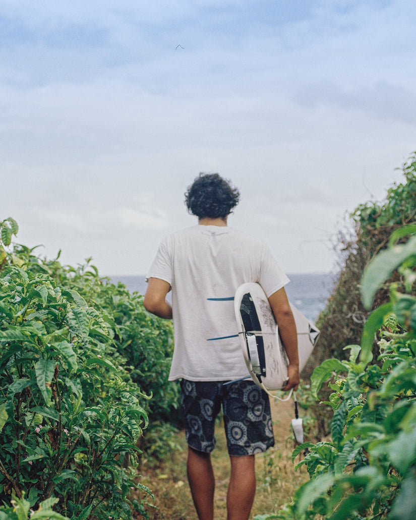 Boardshort Barnacle Stoney 19"  - OLD MILL