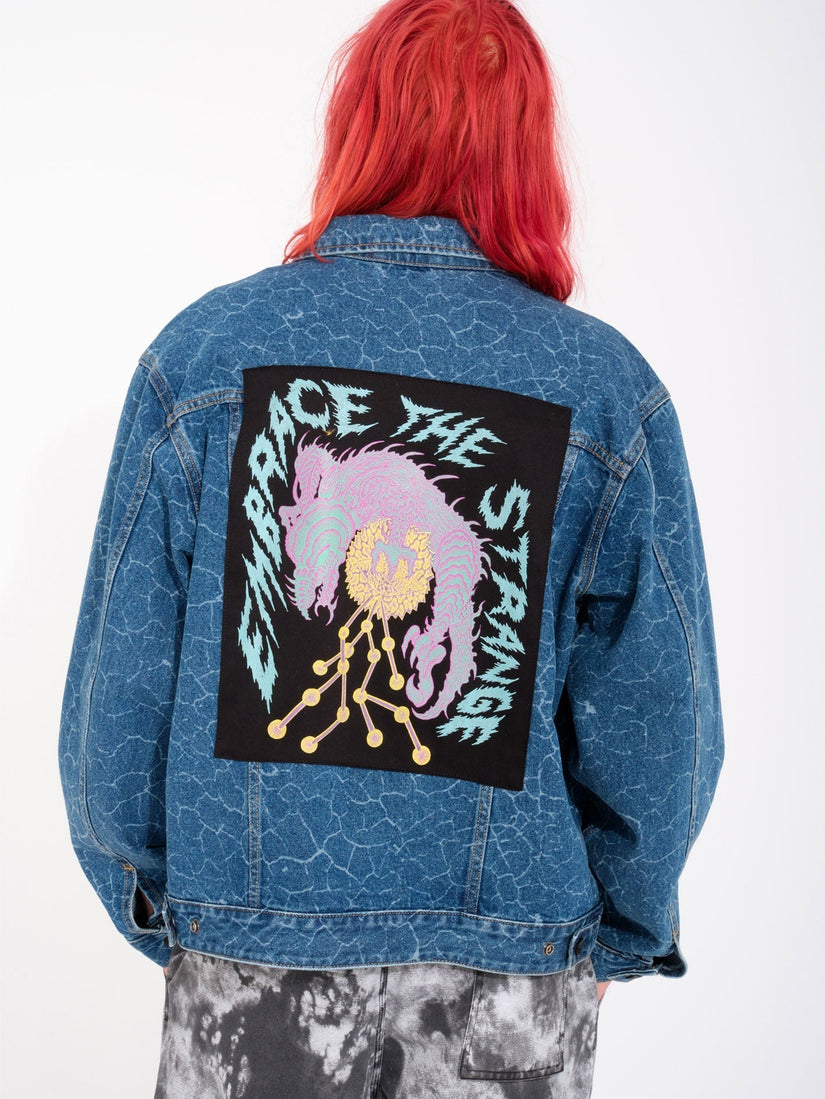 FA TETSUNORI DENIM JACKET (A2112400_LZR) [F]