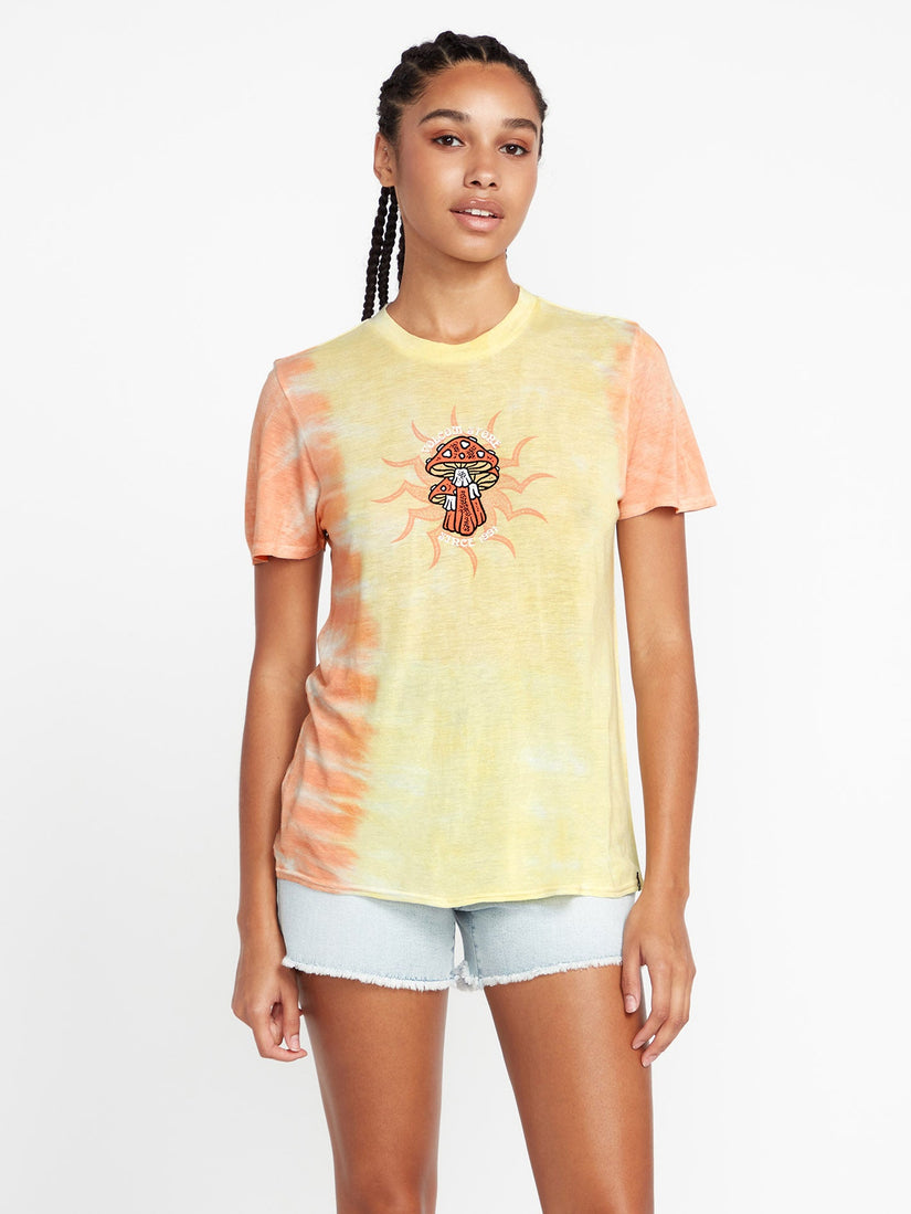 TERN N BERN SS (B0112206_CTR) [F]