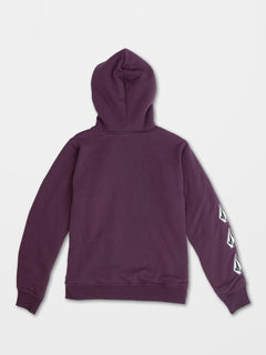 Iconic Stone Zip Hoodie - MULBERRY - (KIDS) (C5832201_MUL) [B]