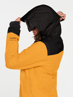 Fern Insulated Gore-Tex Pullover Jacket - RESIN GOLD (H0452204_RSG) [14]